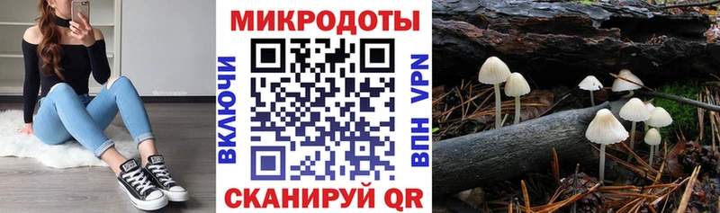 Купить закладки  Ленск  Псилоцибиновые грибы Psilocybe 